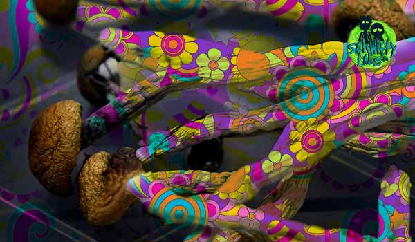 The advantages of Psychedelic Prohibition