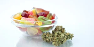 Combining Psilocybin Microdose with Meditation and Breathwork for Deeper States of Awareness